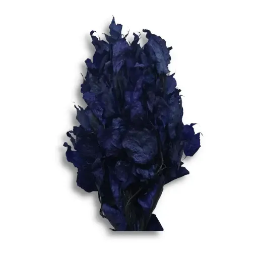 Imagen de Ramo de brachichito seco para arreglos florales color Azul