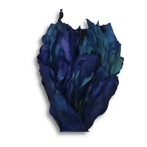 Imagen de Ramo de magnolia seca color azul