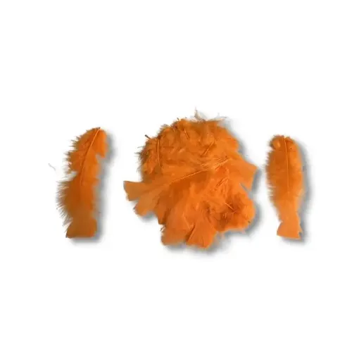 Imagen de Plumas de pavo de 7 a 17cms en paquete de 5grs x30 unidades aprox Color Naranja Orange