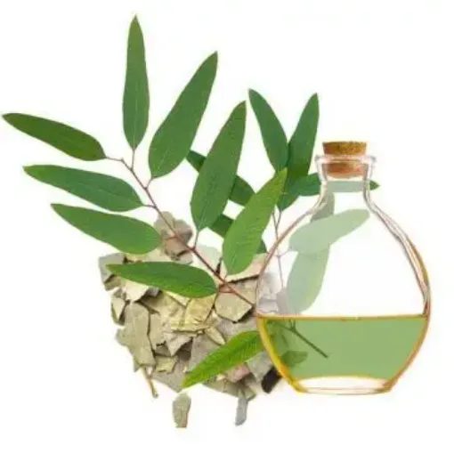 Imagen de Esencia "LA CASA DEL ARTESANO" aroma Eucaliptus x30cc