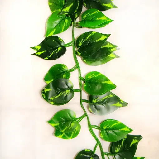 Imagen de Guia de hojas verde *1800cms. *unidad