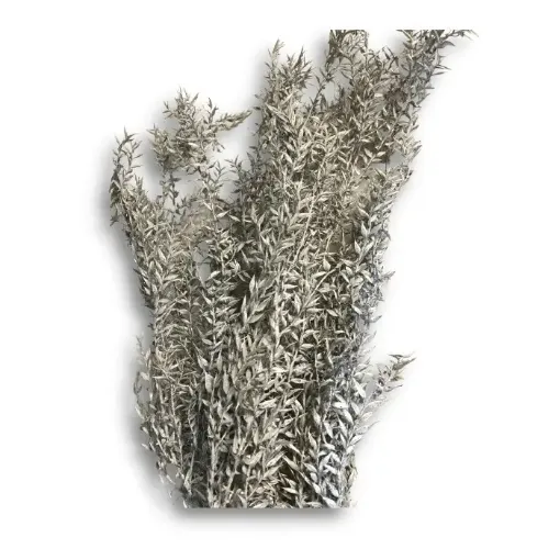 Imagen de Ramo de Papiro metalizado seco blanqueado