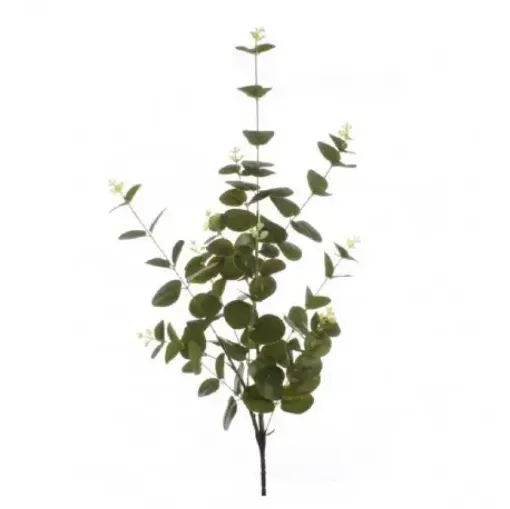 Imagen de Vara de hojas de eucaliptus de 90cms.