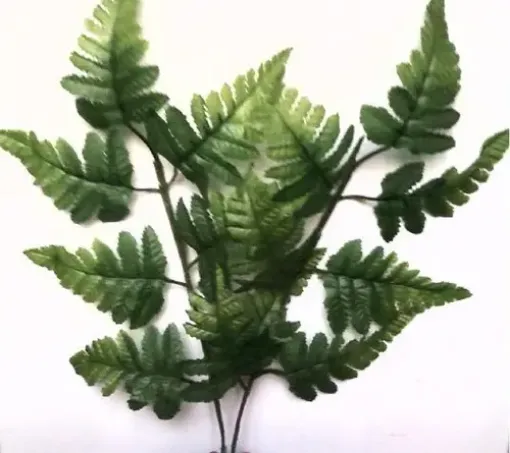 Imagen de Vara de hojas de Calaguala de 45cm. F1971