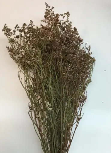 Imagen de Ramo de flor seca de limonium o falsa caspia de 50cms color marron