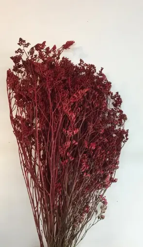 Imagen de Ramo de flor seca de limonium o falsa caspia de 50cms color rojo