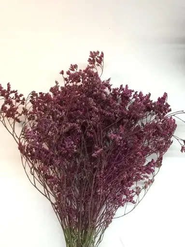 Imagen de Ramo de flor seca de limonium o falsa caspia de 50cms color fucsia
