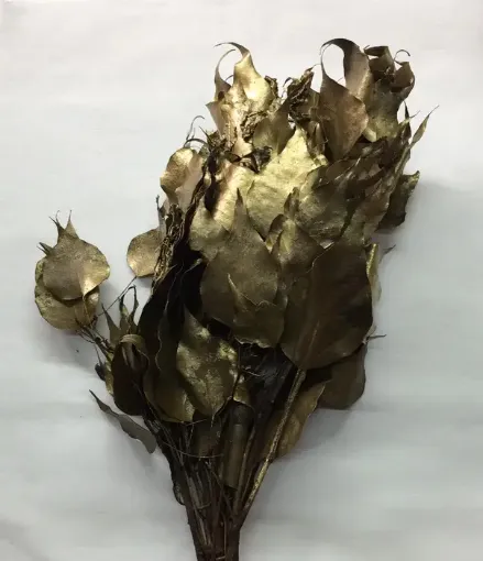 Imagen de Ramo de brachichito seco para arreglos florales color Oro dorado