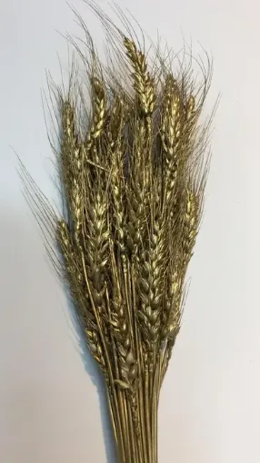 Imagen de Ramo seco de espigas de trigo color metalizado dorado
