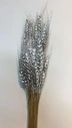 Imagen de Ramo seco de espigas de trigo color metalizado plateado