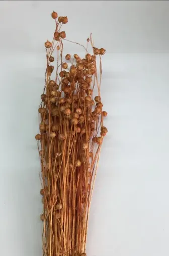 Imagen de Ramo de lino seco para arreglos florales color Naranja