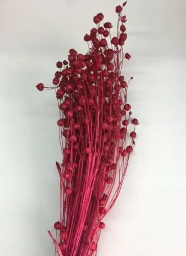 Imagen de Ramo de lino seco para arreglos florales color Fucsia