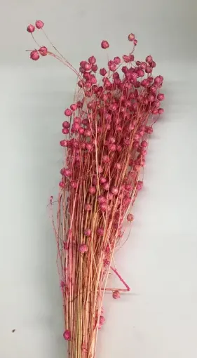 Imagen de Ramo de lino seco para arreglos florales color Rosado