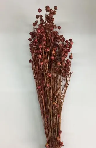 Imagen de Ramo de lino seco para arreglos florales color Marron
