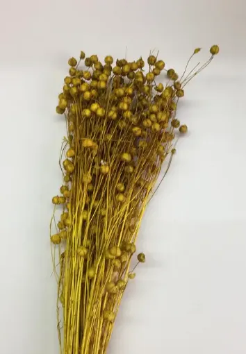 Imagen de Ramo de lino seco para arreglos florales color Amarillo