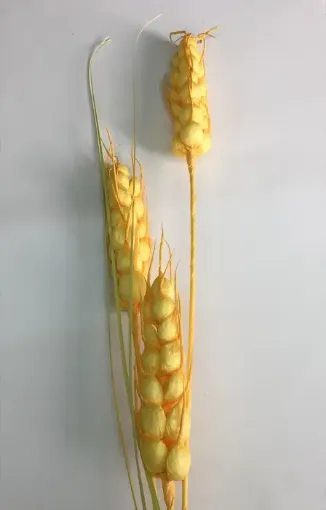 Imagen de Vara de espigas de cebada *3 de 120cms. color amarillo