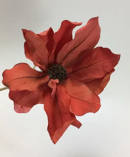 Imagen de Flor armada con hojas y centro semilla de 50cms. color rojo