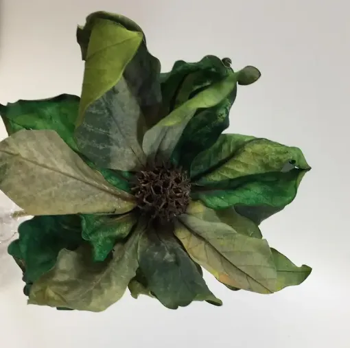 Imagen de Flor armada con hojas y centro semilla de 50cms. combinada