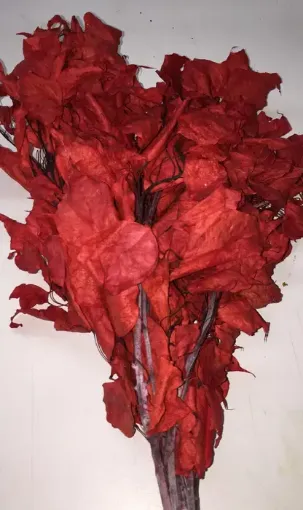 Imagen de Ramo de brachichito seco para arreglos florales color Rojo