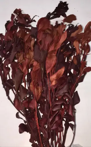Imagen de Ramo de follaje seco Lilustrina color marron