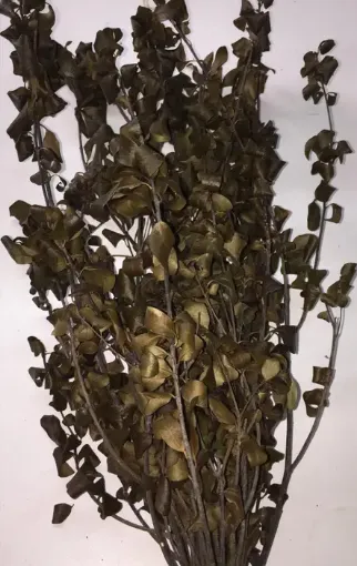 Imagen de Ramo de follaje seco Lilustrina color verde