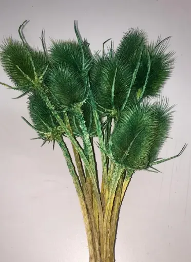 Imagen de Ramo de cardos secos color verde oscuro