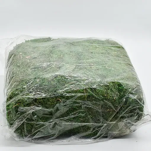 Imagen de Musgo natural importado verde oscuro en bolsa grande bolsa de 750 grs