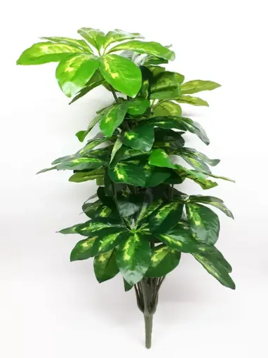 Imagen de Planta artificial de Schefflera Disciplinada de 60cms. de altura A1929