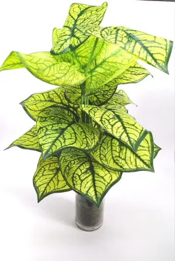 Imagen de Planta artificial Photus jaspeado de 18 hojas de 60cms. de altura B823