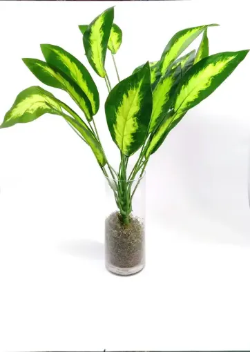 Imagen de Planta artificial Defembaquia de 18 hojas de 60cms. B821B