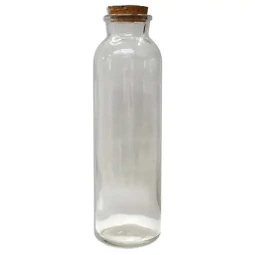 Imagen de Botella de vidrio con tapon de corcho de 5.5*19cms EE489