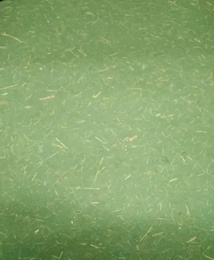Imagen de Papel de arroz de 40grs de 64x47cms x2 unidades color Verde