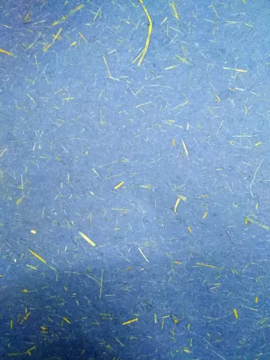 Imagen de Papel de arroz de 40grs de 64x47cms x2 unidades color Azul