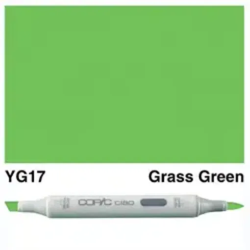 Imagen de Marcador profesional COPIC CIAO alcohol doble punta color YG17 Grass Green