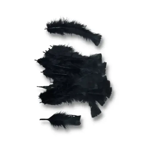 Imagen de Plumas de pavo de 7 a 17cms en paquete de 5grs x30 unidades aprox Color Negro