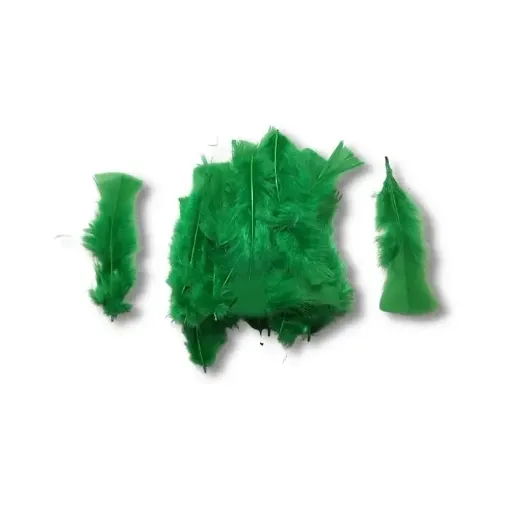 Imagen de Plumas de pavo de 7 a 17cms en paquete de 5grs x30 unidades aprox Color Verde