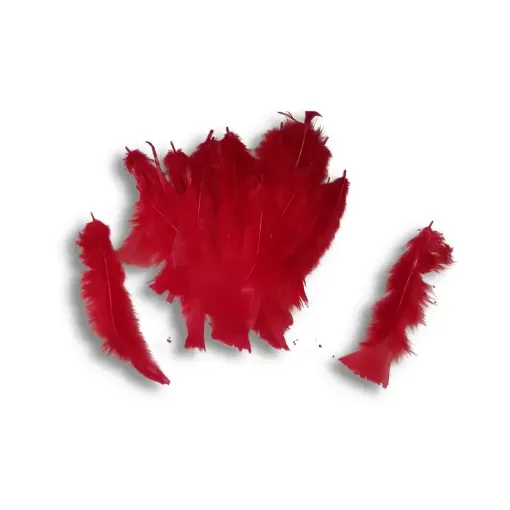 Imagen de Plumas de pavo de 7 a 17cms en paquete de 5grs x30 unidades aprox Color Rojo red 8243