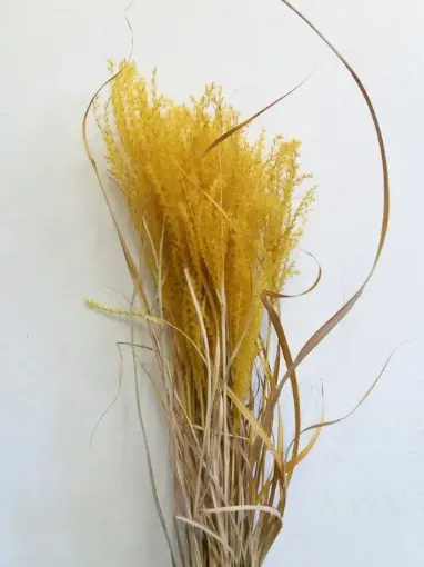 Imagen de Ramo de plumas secas color amarillo