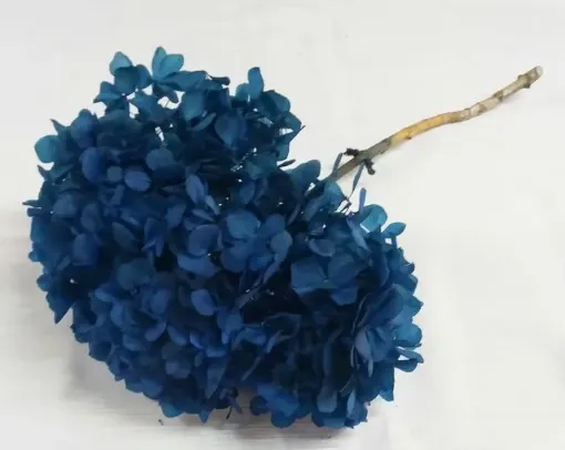 Imagen de Ramo de hortensias glicerinadas de color azul