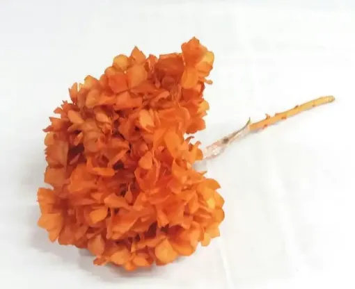Imagen de Ramo de hortensias glicerinadas de color naranja