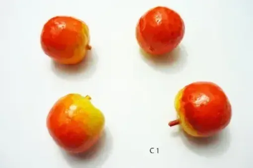 Imagen de Fruta mediana de telgopor manzana *10 unidades