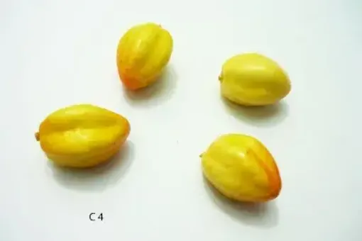 Imagen de Fruta mediana de telgopor *10 unidades