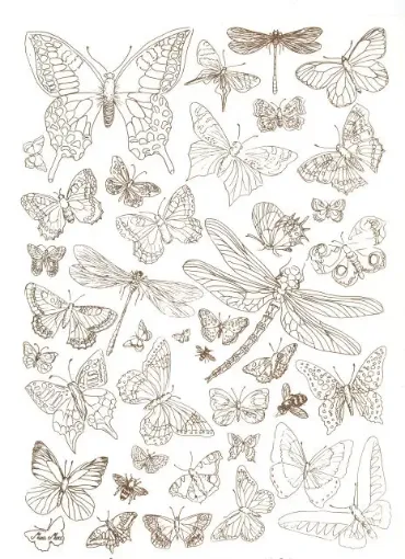 Imagen de Calco vitrificable para pintura sobre porcelana 35*25cms. diseño "insectos" 