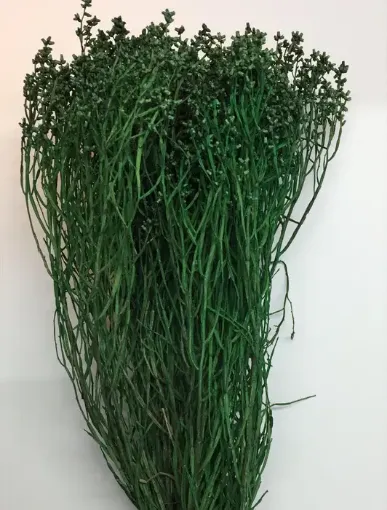 Imagen de Ramo de ilusion relleno de campo seco color verde