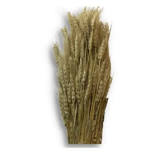 Imagen de Fardo de espiga de trigo natural unos 6 paquetes chicos aprox