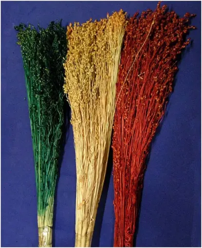 Imagen de Ramo de flores secas paja de escoba variedad de colores