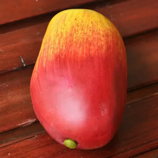 Imagen de Fruta mediana de telgopor mango *10 unidades