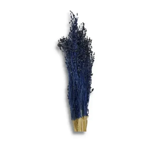 Imagen de Ramo de flores secas paja de escoba color Azul