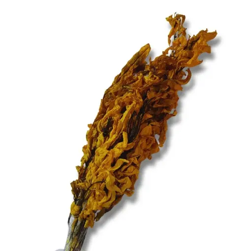 Imagen de Ramo de follaje seco Laurel color Amarillo