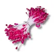 Imagen de Pistilos medianos de colores para flores en atado  - Fucsia